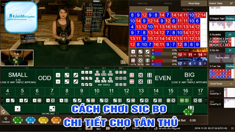 Cách chơi sic bo chi tiết  cho tan thủ